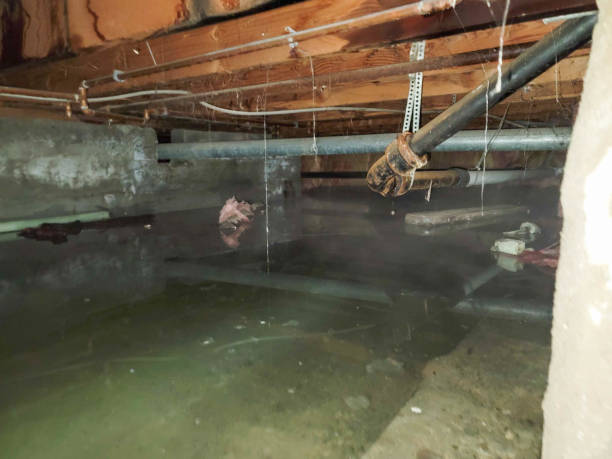 Best Flooded house restoration  in Grants Pass, OR