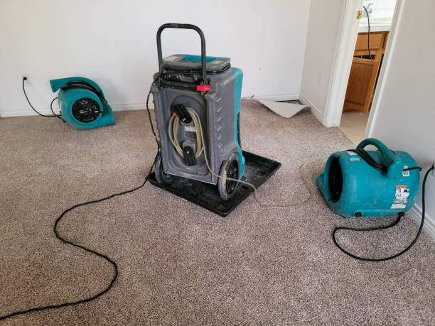 Best Basement water damage restoration  in Grants Pass, OR