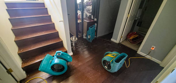 Best Water damage restoration company  in Grants Pass, OR