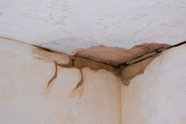 Best Local water damage restoration  in Grants Pass, OR