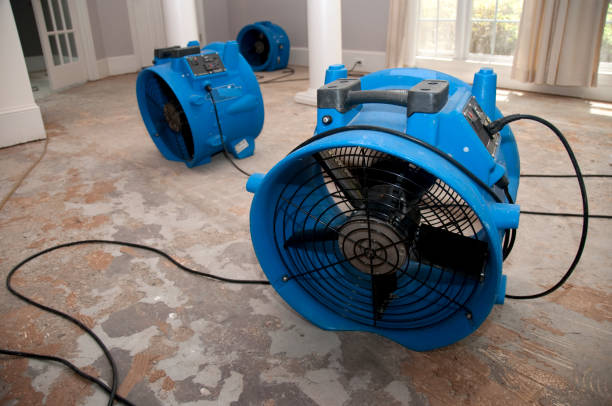 Best Emergency water damage restoration  in Grants Pass, OR